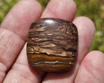 Deschutes Picture Jasper from Oregon  C-003