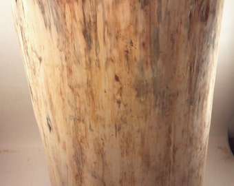 Rustic Spalted Pine Stump Stool Side Table Plant Stand- Custom Heights Available