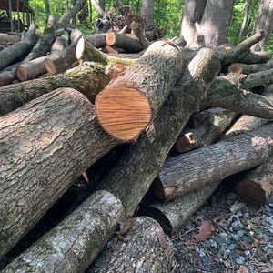 Bradford Pear 925 Baumstamm und Aststücke - Bastelprojekte, Drechseln von Holz
