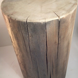 Taburete rústico de tocón de álamo desgastado, soporte para plantas, accesorio para fotos