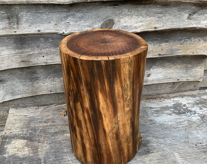 Black Walnut Stump Stool End Table Photo Prop Plant Stand 12 Etsy