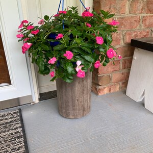 May include: A hanging planter with pink flowers and green leaves. The planter is hanging from a blue rope and is suspended over a wooden log.