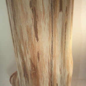 Rustic Red Cedar Stump End Table plant stand photo prop 9-11 wide Custom Heights Available image 4