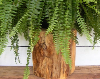 Pine Stump Stool Table Photo Prop Plant Stand 9" - 10" diameter