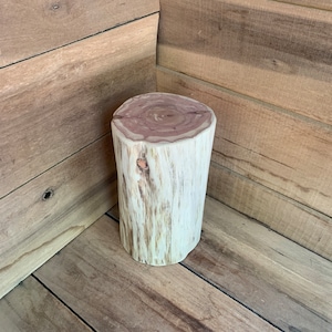 Slender Cedar Stump - Custom Heights Available