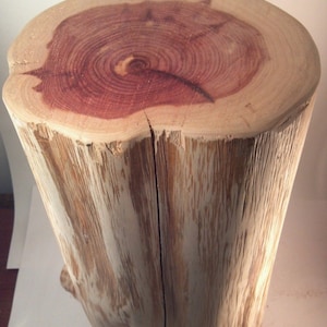 Mesa auxiliar rústica de tocón de cedro rojo, soporte para plantas, accesorio para fotos, de 23 a 28 cm de ancho, alturas personalizadas disponibles