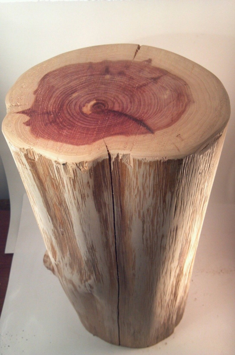 Rustic Red Cedar Stump End Table plant stand photo prop 9-11 wide Custom Heights Available image 1