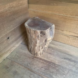 In Stock Unique Black Walnut Stump Table - Fast Shipping