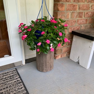 May include: A hanging planter with pink flowers and green leaves. The planter is made of wood and has a blue metal hanger.