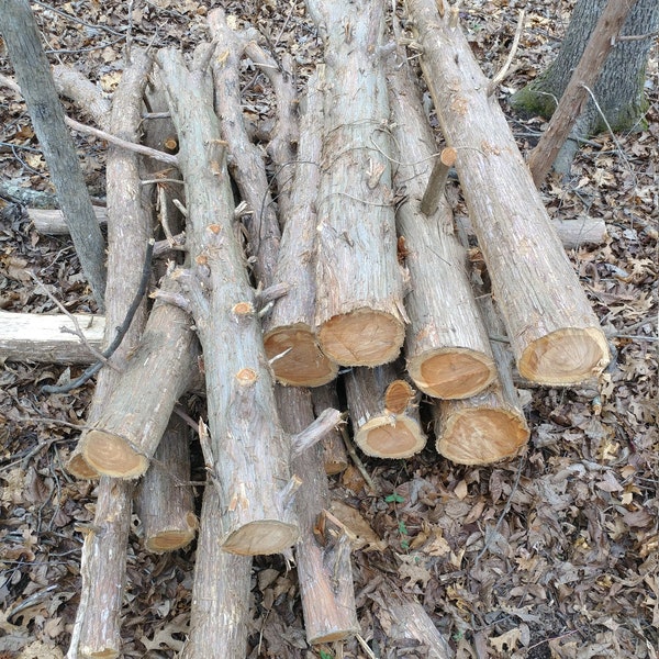 Eastern Red Cedar Log Pieces - Craft Projects, Bed Rails, Table legs, Log Bed, Rustic Furniture, Bed Post, Bench - Custom Lengths