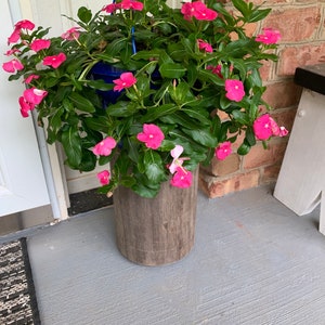 May include: A hanging planter with pink flowers and green leaves. The planter is made of wood and has a rustic look. The planter is hanging from a blue rope.