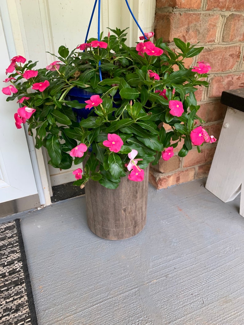May include: A hanging planter with pink flowers and green leaves. The planter is made of wood and has a rustic look. The planter is hanging from a blue rope.