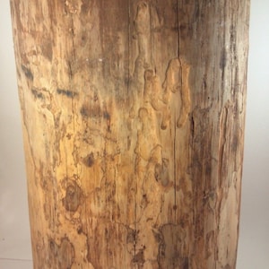 Rustic Pine Stump Table