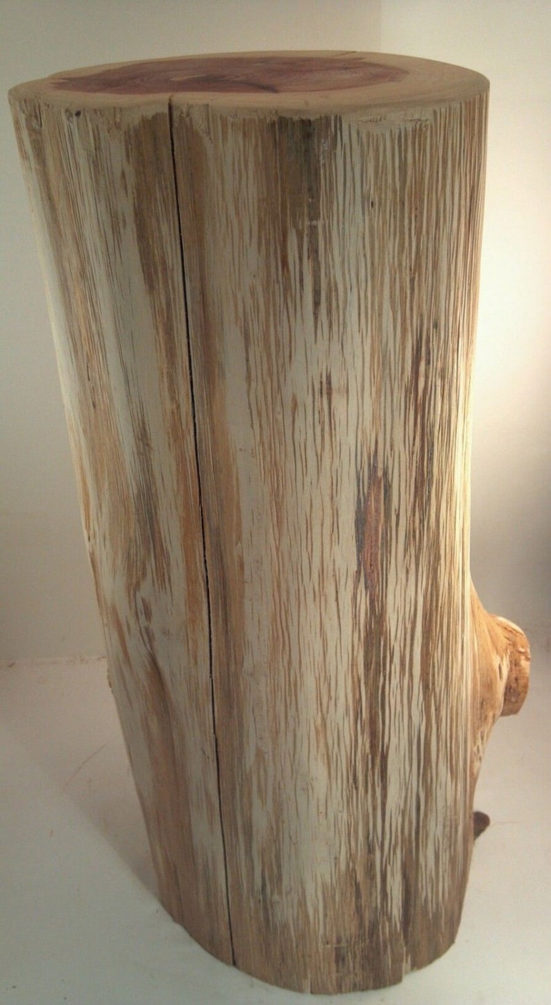 Rustic Red Cedar Stump End Table plant stand photo prop 9-11 wide Custom Heights Available image 2