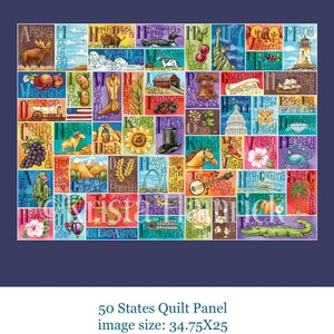FABRIC PANEL 50 States cotton quilt fabric panel  Overall fabric size 42X36 **Please Read Shipping Details Below**