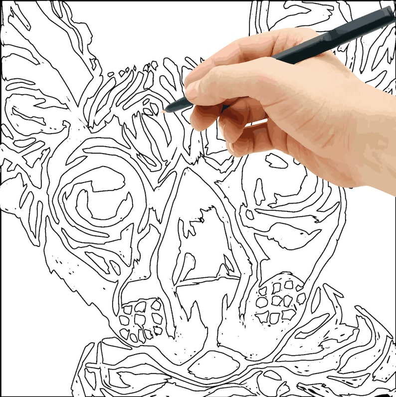 880 Hairless Cat Coloring Pages Download Free Images 880 Hairless Cat Coloring Pages Download Free Images
