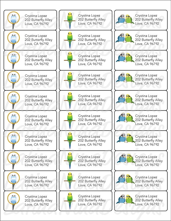 parakeets parakeet labels avery address labels address stickers return address labels printed return address labels shipped labels return address labels avery