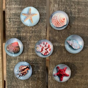 May include: Eight round glass paperweights with different sea life images. The images include a starfish, a seashell, a seahorse, and a conch shell. The paperweights are all clear glass with a white background.