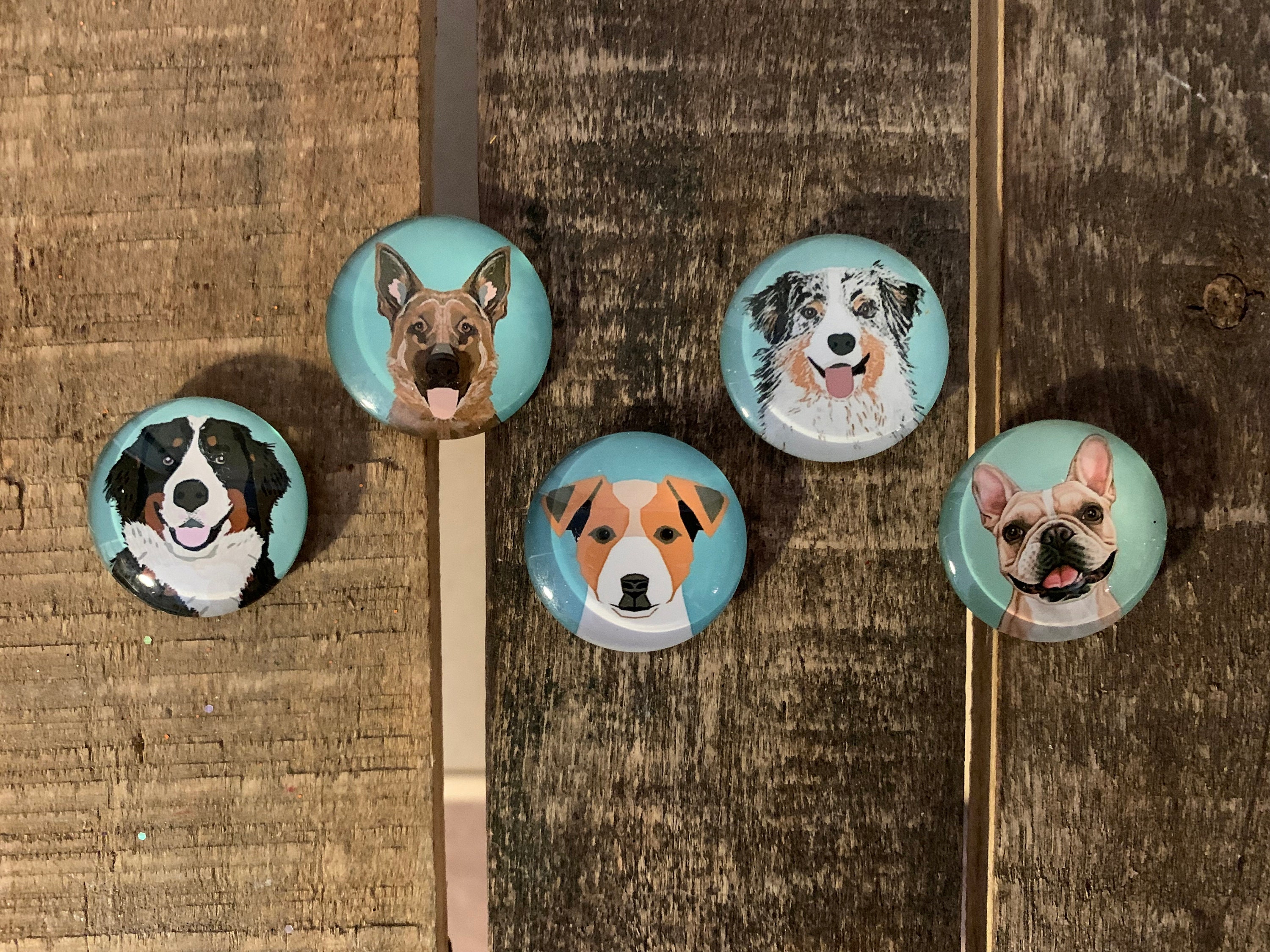 Adorable and Strong Dog Glass Dome Neodymium Dog Etsy