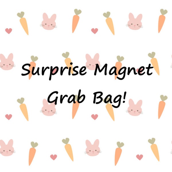 Fun Magnet Grab Bag! Assorted Surprise Magnets!