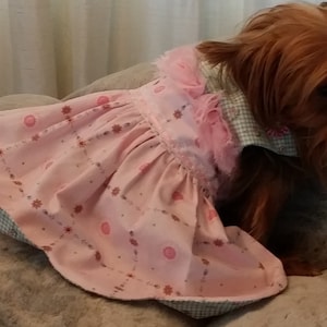 Pretty in pink dog dress