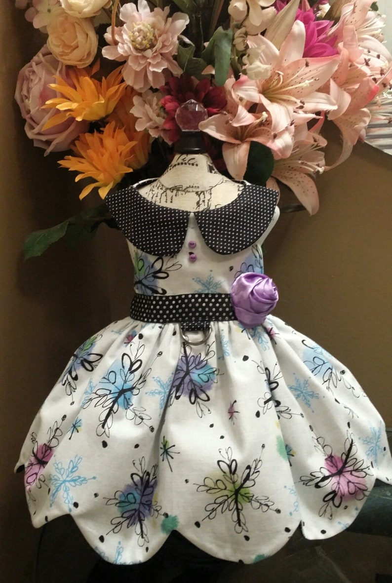 Pretty white and black dress dog dress