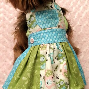 Dog dress