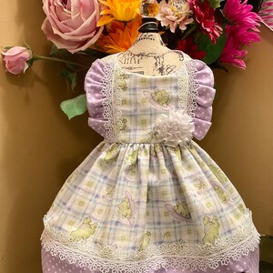 Fun party dog dress, size small.
