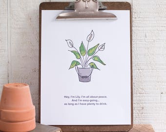 Peace Lily, Plant Print, Botanical Print, Digital Wall Art, Plant Art, Nature Hand Drawn, Instant Download Print, Funny Plant Print