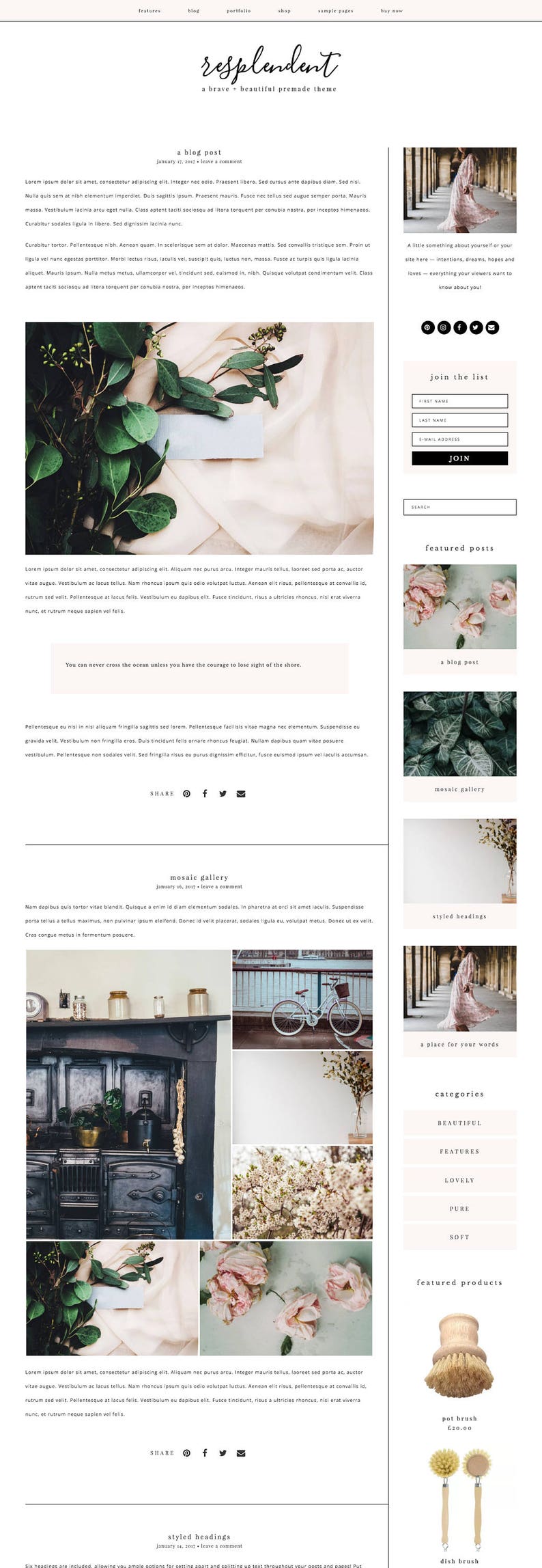 Feminine Wordpress Theme Responsive Wordpress Template Genesis Child Theme Photographer Wordpress Theme Ecommerce Wordpress Blog Theme image 5