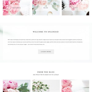 Puede incluir: P&aacute;gina de inicio de un sitio web para un blog y una tienda con un tema floral rosa. El sitio web se llama "Splendid" y tiene el lema "A Brave, Beautiful Premade Theme". El sitio web presenta un blog, una tienda, un portafolio y p&aacute;ginas de muestra.