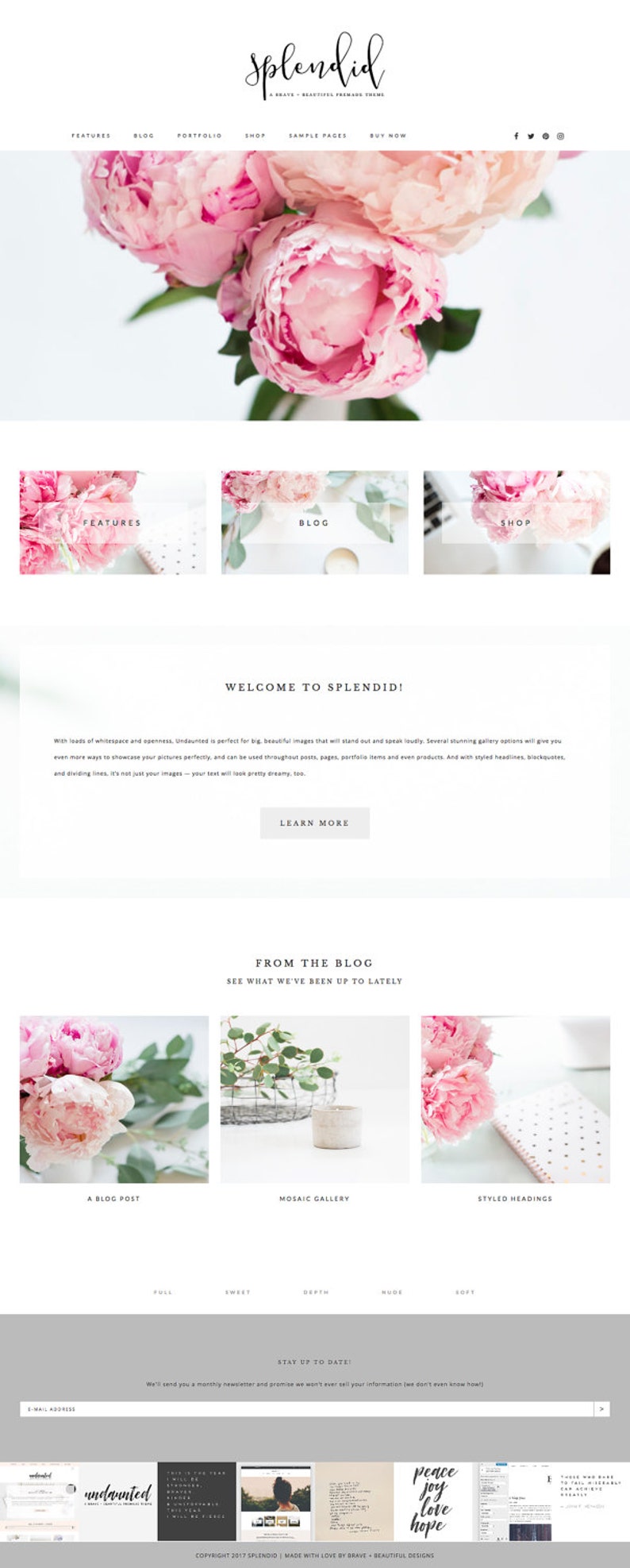 Puede incluir: P&aacute;gina de inicio de un sitio web para un blog y una tienda con un tema floral rosa. El sitio web se llama "Splendid" y tiene el lema "A Brave, Beautiful Premade Theme". El sitio web presenta un blog, una tienda, un portafolio y p&aacute;ginas de muestra.