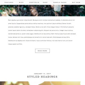May include: A website layout with a header featuring navigation links like 'FEATURES' and 'BLOG'. The main content includes placeholder text and a 'READ MORE' button. The date 'JANUARY 14, 2017' and the heading 'STYLED HEADINGS' are also visible.
