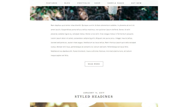 May include: A website layout with a header featuring navigation links like 'FEATURES' and 'BLOG'. The main content includes placeholder text and a 'READ MORE' button. The date 'JANUARY 14, 2017' and the heading 'STYLED HEADINGS' are also visible.