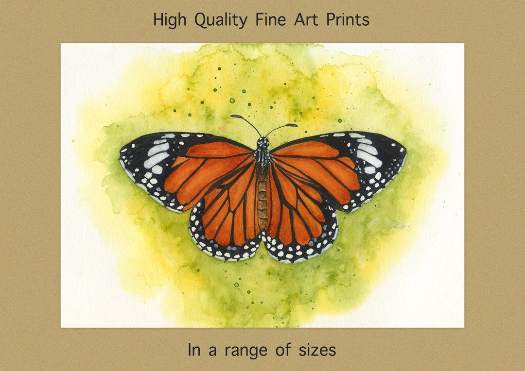 Monarch Butterfly Fine Art PRINT From an Original Watercolour Painting ...