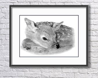 Fallow Deer Fawn, Drawing in Graphite, Original Drawing, Fawn Drawing, Baby Fallow Deer, Art, Wildlife Original Drawing, Original Wall Art