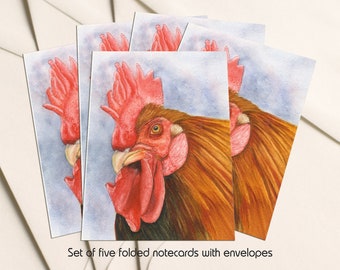 A Pack of 5 folded Notecards with Envelopes From an Original Watercolour Painting Farm Bird Stationery Rhode Island Red Rooster Notecards A Pack of 5 folded Notecards with Envelopes From an Original Watercolour Painting Farm Bird Stationery Rhode Island Red Rooster Notecards