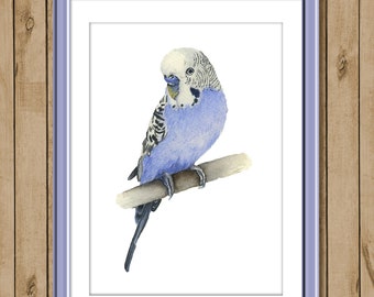 Purple Budgerigar, Perakeet, Parrot Painting in Watercolour, An Original Painting, NOT A PRINT, Pet Portrait, Realistic Bird Painting