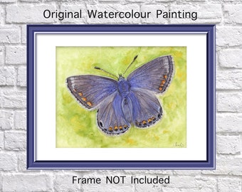 Common Blue Butterfly, Watercolour Painting, Female Adonis Blue, Polyommatus Bellargus Butterfly, Nature Art, Realistic Butterfly Painting