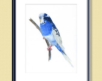 Blue Budgie, Budgerigar, Perruche, Peinture de perroquet en aquarelle, Une peinture originale, PAS un PRINT, Pet Portrait, Peinture d'oiseau réaliste