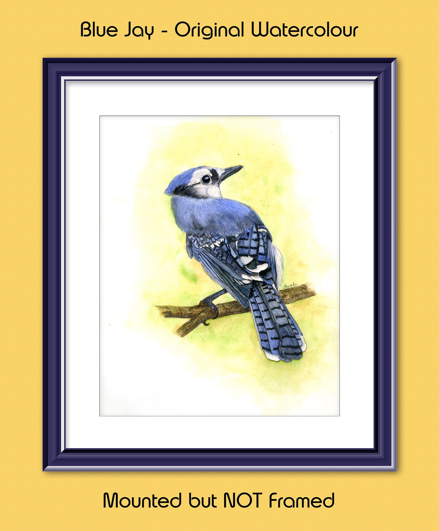 Details about   Blue Jay   Watercolor Bird Painting ORIGINAL Wildlife 4x6 