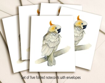 Yellow Crested Cockatoo, A Pack of 5 folded  Parrot Notecards, with Envelopes. From and Original Watercolour Painting. Parakeet Stationary,