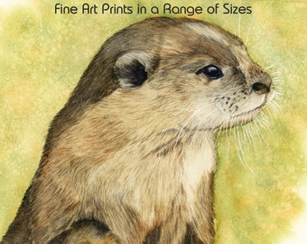 Otter Fine Art PRINT from an Original Watercolour, Otter River Mammal Print, Realistic Otter Illustration, Wildlife Watercolour Print