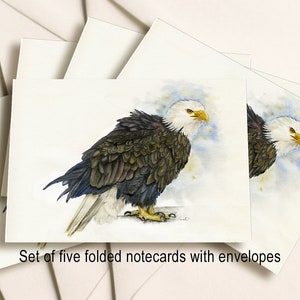 A Pack of 5 folded Notecards with Envelopes From an Original Watercolour Painting Farm Bird Stationery Rhode Island Red Rooster Notecards A Pack of 5 folded Notecards with Envelopes From an Original Watercolour Painting Farm Bird Stationery Rhode Island Red Rooster Notecards