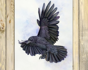 Raven in Flight, Watercolour PRINT from and Original Painting, Corvus Corax, Black Raven, Gothic Art, Realistic Painting, Wild Bird Print