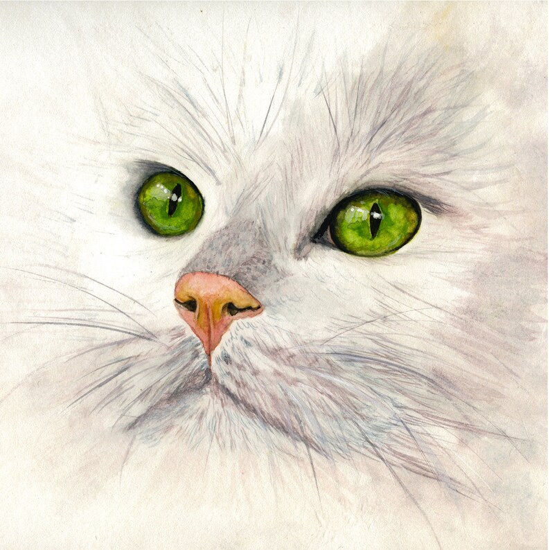 A Fabulous Birthday or Christmas Gift for Pet Lovers Any Pet Large or Small with One or More Pets Custom Pet Portrait from Your Own Photos
