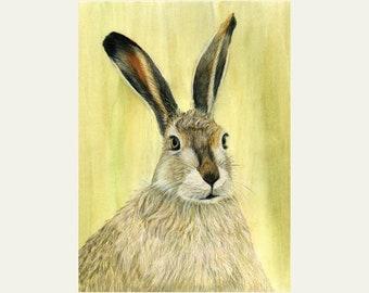 Wild Hare Painting, Original Watercolour and Coloured Pencil Drawing, NOT A PRINT, Realistic Wildlife Art, Mounted Ready to Frame.