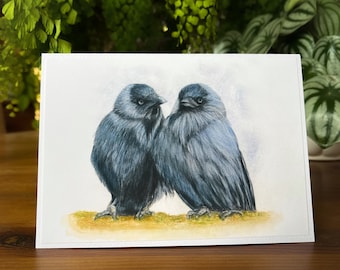 Jackdaw Pair Greeting Card for Corvid Lovers Everywhere. Created with a Coloured Pencil Art Print from my Original Painting