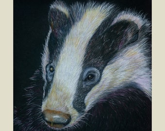 Badger at Night Coloured Pencil Drawing on Black Paper. An Original Wildlife Illustration NOT A PRINT. Wall Art Decor for Wild Animal Lovers