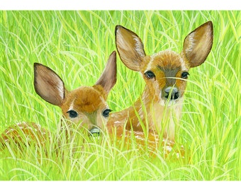 Two Fawn, Baby Deer, Basking in the Summer Sun, Realist Wildlife Art Print from My Own Original Gouache Painting. Wildlife Wall Art